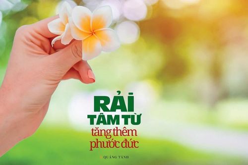 Rải tâm từ tăng thêm phước đức