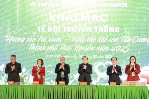 Thái Nguyên: Khai mạc Lễ hội 'Hương sắc Trà xuân - Vùng chè đặc sản Tân Cương'