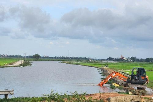 Hàng nghìn ha lúa Đông Xuân ở Quảng Trị bị ngập nước đang xử lý thế nào?