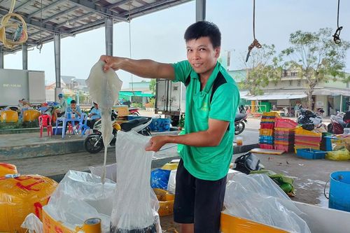 Lộc biển đầu xuân đầy ắp của ngư dân Cà Mau