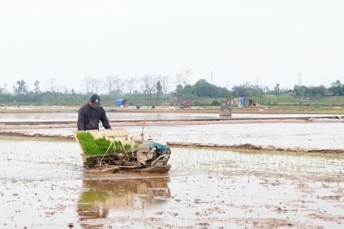 Bộ NN&PTNT điều chỉnh thời gian lấy nước vụ Xuân tại 11 tỉnh thành Bắc Bộ