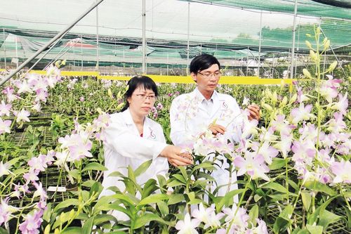 Định hình hệ sinh thái nông nghiệp bền vững