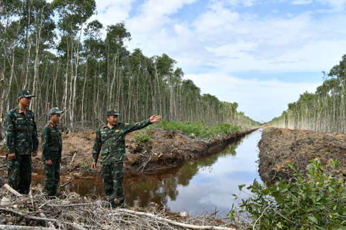 Giữ rừng ngày xuân