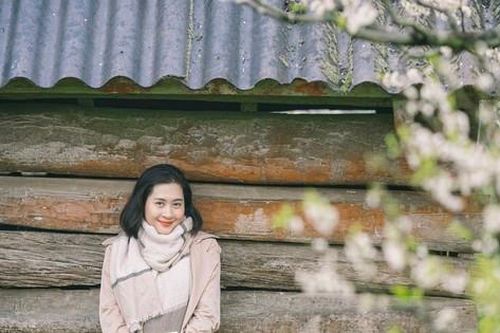 Vẻ đẹp của các 'nàng thơ' bên vườn mận 'trắng xóa'