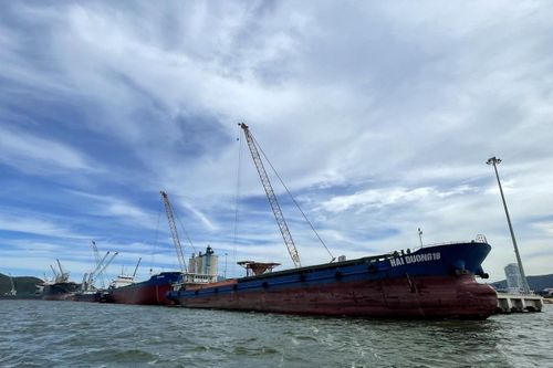 Công ty Phúc Trường Linh có vai trò gì trong vụ kiện kéo dài?