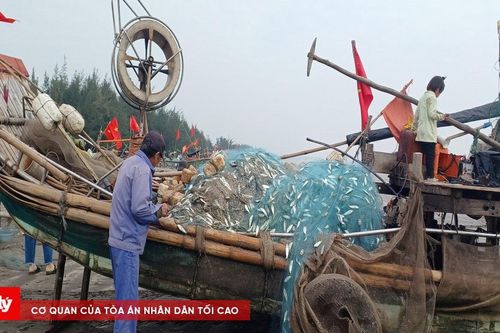 Nghệ An: Ngư dân phấn khởi được 'lộc biển' đầu năm
