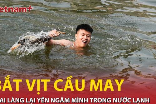 Trai làng Lại Yên ngâm mình trong nước lạnh để bắt vịt cầu may