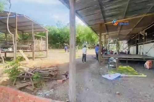 Điều tra làm rõ vụ án mạng chết người tại Bình Phước