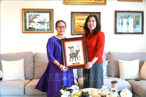 Tinh thần bảo tồn và giữ gìn tiếng Việt tại Malaysia
