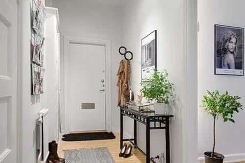 Bạn phải đặt những linh vật này trong nhà vì chúng cho thấy rằng bạn càng sống lâu thì bạn sẽ càng giàu có