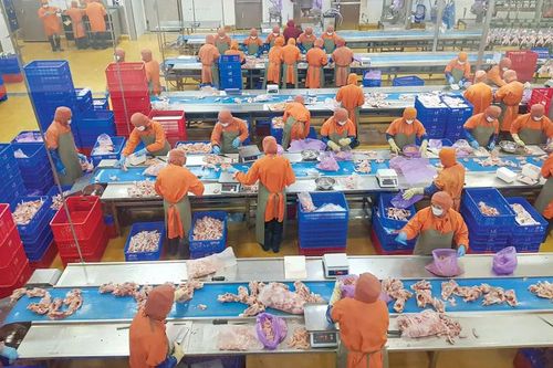 Một số vấn đề pháp lý với DN Việt trong cuộc chiến thuế quan Mỹ - Trung