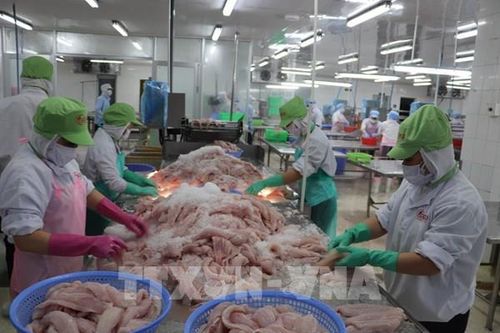 Xuất khẩu thủy sản còn nhiều thách thức