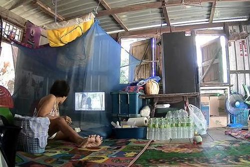 Đang ngồi xem tivi trong nhà, cụ bà 78 tuổi tá hỏa vì sự xuất hiện một 'vị khách không mời'