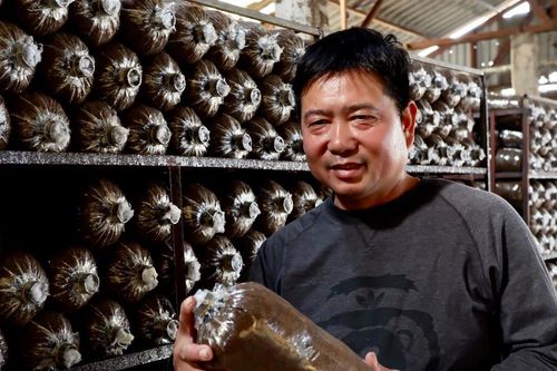 Doanh nhân Vũ Tuấn Hiệp: Lan tỏa hơn nữa giá trị dinh dưỡng từ nấm