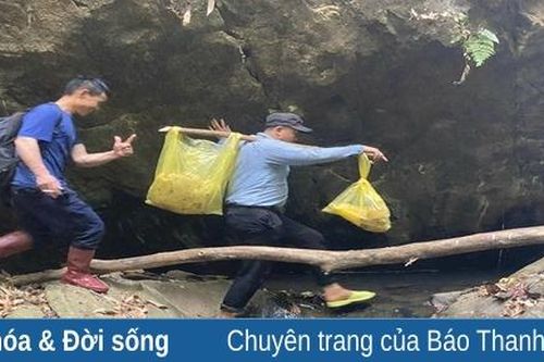 Lộc rừng ngày mưa