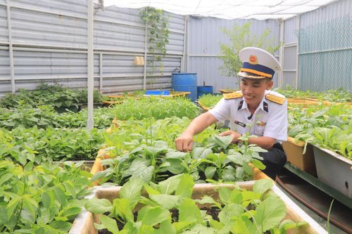 Vườn rau xanh giữa biển khơi