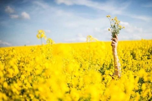 Cuộc đời 'sẽ lại bắt đầu như một bài thơ'