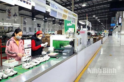 Rộn ràng khí thế lao động đầu xuân