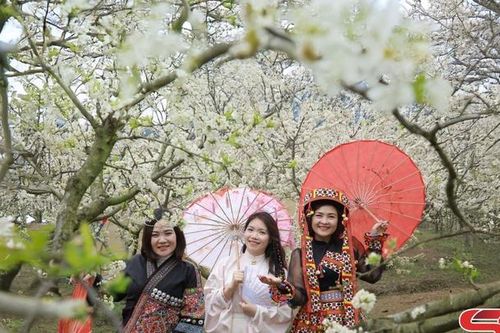 Phát triển du lịch nông nghiệp bền vững