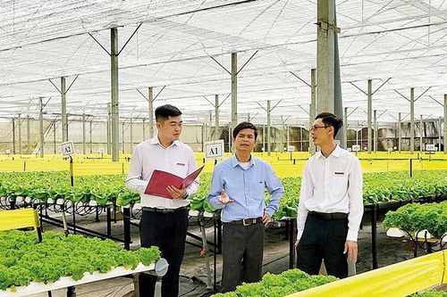 Agribank vững tin cùng đất nước bước vào kỷ nguyên mới