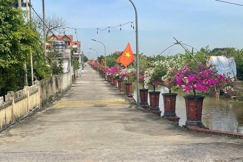 Nam Định: Thực hiện quy hoạch bảo vệ môi trường với 4 nhóm nhiệm vụ trọng tâm