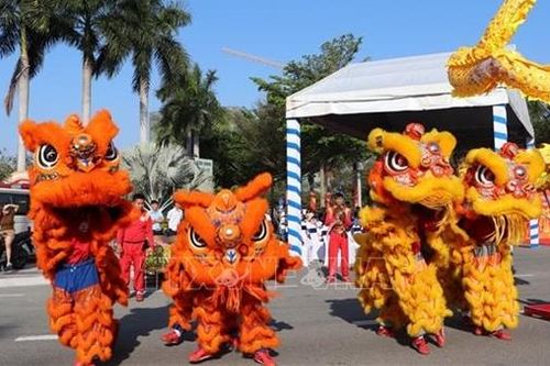 Liên hoan Lân Sư Rồng Xuân Ất Tỵ ở Bình Dương xác lập kỷ lục Việt Nam