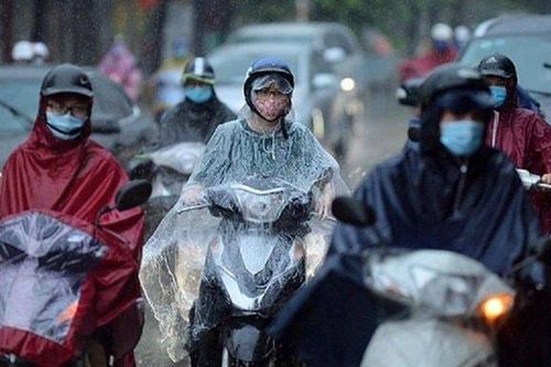 Quy định về việc dừng xe mặc áo mưa