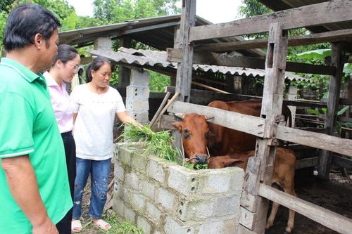 Lan tỏa từ những mô hình 'Dân vận khéo'