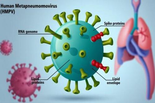 Cần cảnh giác virus HMPV
