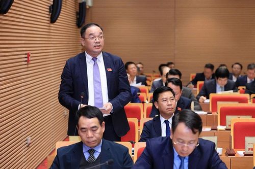 HĐND các cấp thành phố Hà Nội:Đẩy mạnh hoạt động giám sát, kiểm đếm sau giám sát
