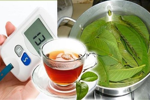 9 trường hợp nên dùng nước lá ổi thường xuyên hơn