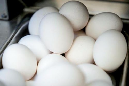 Bí ẩn vụ trộm 100.000 quả trứng