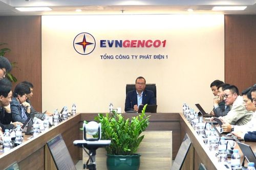 EVNGENCO1 đảm bảo sản xuất điện an toàn, ổn định dịp Tết Nguyên đán 2025