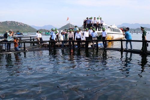 Phát triển nuôi biển công nghệ cao để xuất khẩu thủy sản đạt tỷ USD
