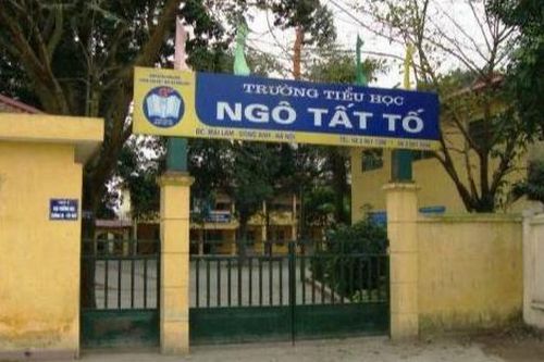 Giao 8.633,3m2 đất cho huyện Đông Anh để cải tạo Trường Tiểu học Ngô Tất Tố