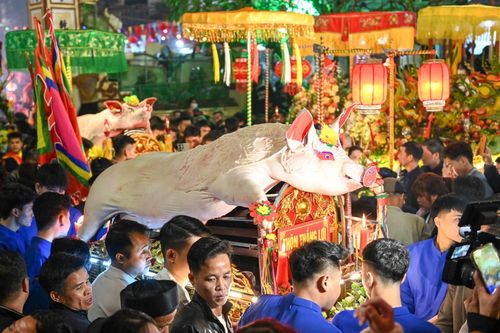 Người dân thức xuyên đêm xem rước 'ông lợn' khổng lồ làng La Phù