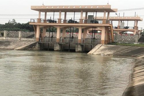 Gần 460 nghìn ha đất sản xuất lúa vụ đông xuân có nước