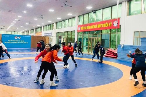 Các đội tuyển võ thuật Việt Nam đặt mục tiêu giành HCV tại SEA Games 33