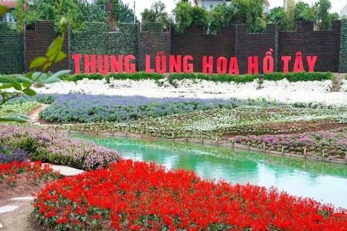 Hà Nội: Thung lũng hoa Hồ Tây được đấu giá cho thuê thế nào?