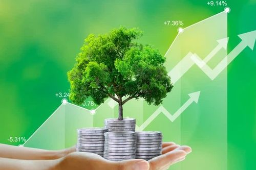 Hút vốn và khơi thông đầu tư cho năng lượng tái tạo