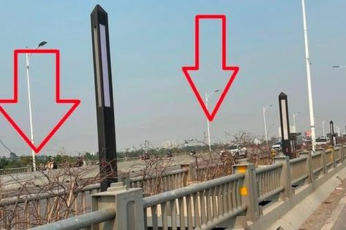 Cây xanh trên cầu Vĩnh Tuy 2 chết khô