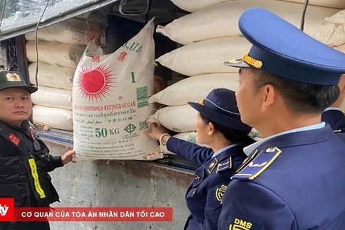 Nghệ An: Phát hiện xe ô tô chở 3 tấn đường không rõ nguồn gốc