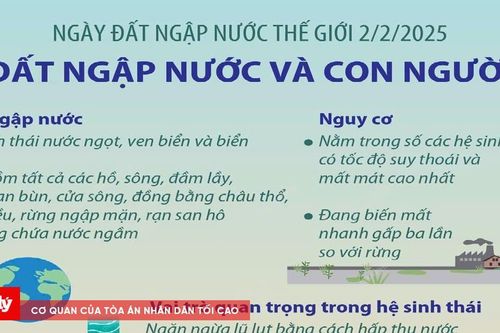 Hưởng ứng Ngày Đất ngập nước thế giới