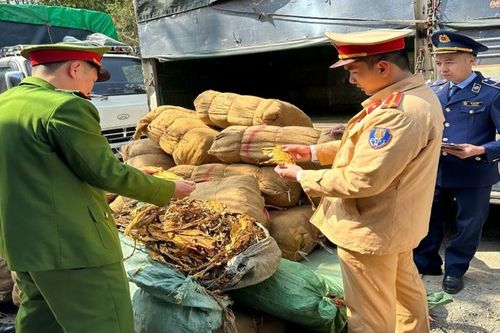 Phát hiện, xử lý gần 3 tấn lá cây thuốc lá sấy khô không rõ nguồn gốc