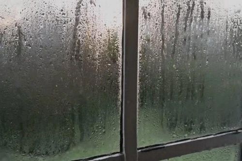 Mùa nồm ẩm: Một số lưu ý nhằm giảm thiểu tác động với sức khỏe, không gian sống