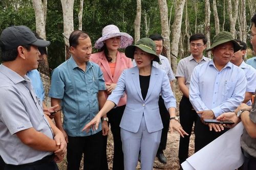Bình Phước đẩy nhanh Dự án cao tốc Thành phố Hồ Chí Minh-Thủ Dầu Một-Chơn Thành