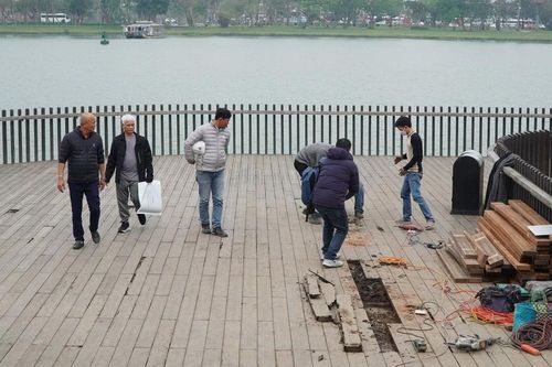 Khẩn trương thay thế thanh gỗ mục trên cầu gỗ lim ven sông Hương