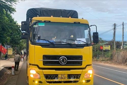 Hai người đi xe máy tử vong do va chạm với xe tải