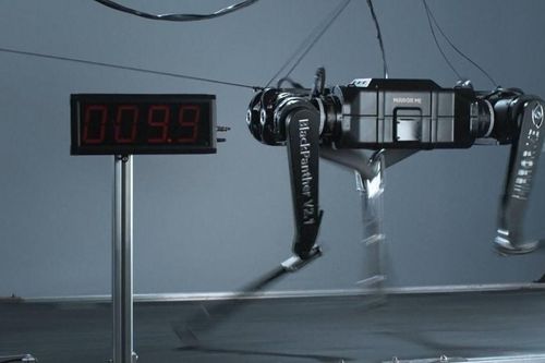 Trung Quốc trình làng robot 4 chân nhanh nhất thế giới