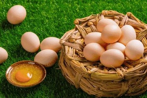 Trứng nào bổ dưỡng hơn: Trứng gà, trứng vịt, trứng ngỗng hay trứng cút? Và đây là câu trả lời...